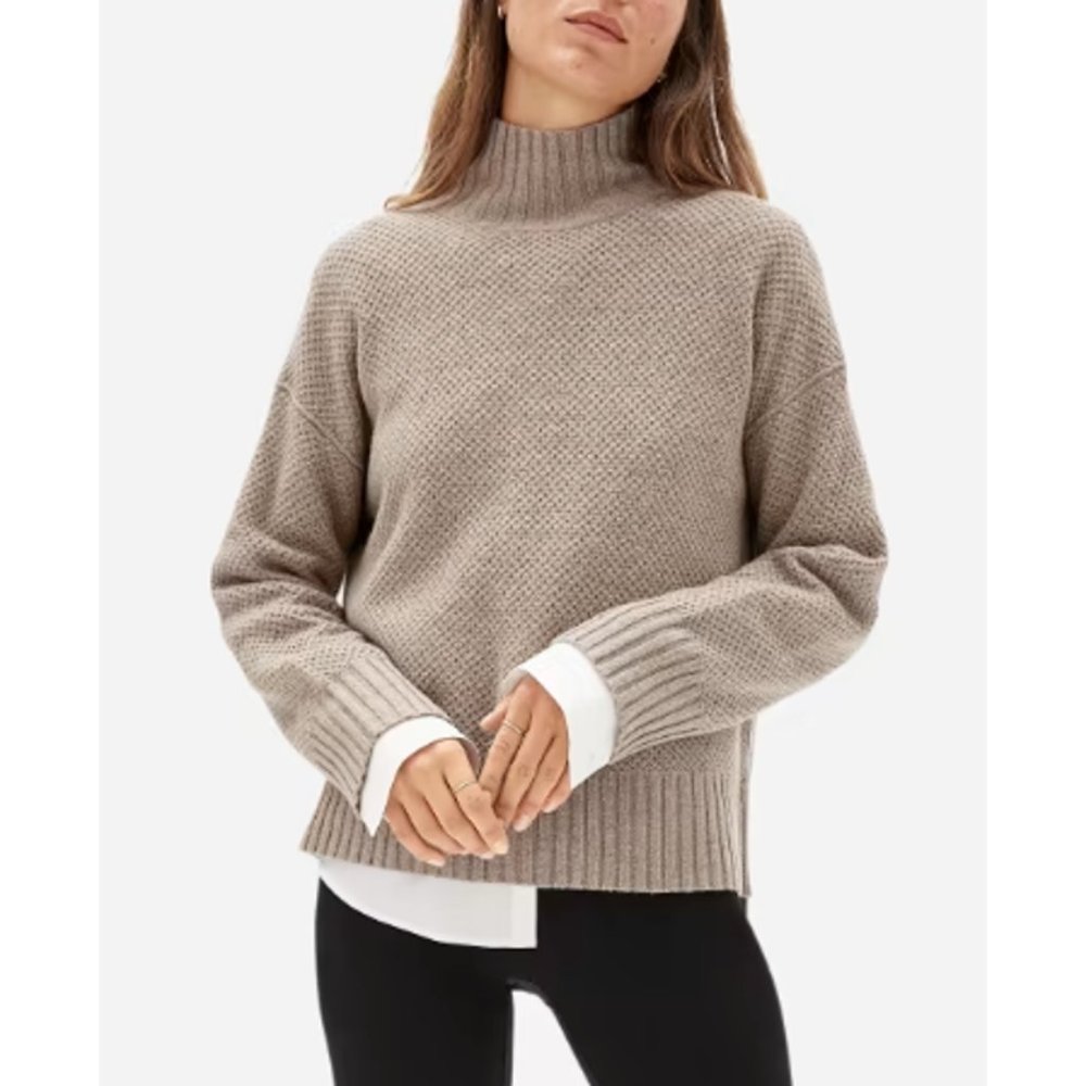 Everlane The Oversized Stroopwafel Turtleneck In ReCashmere